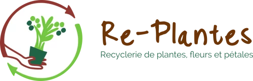 Logo_Re-plantes_Recyclerie-de-plantes_FondTransparent